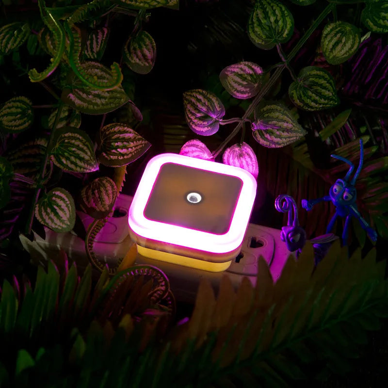 Wireless LED Night Light